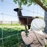 Sonnenblumenhof - & 乡村民宿 *