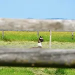 乡村民宿 Sonnenblumenhof - & Mühlheim