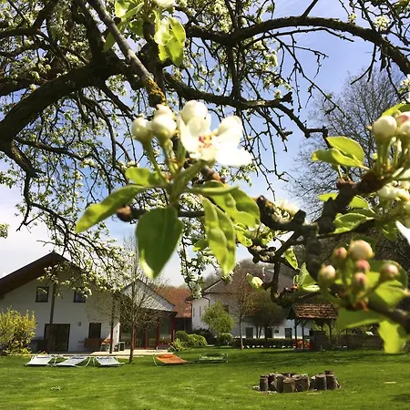 Landsted Sonnenblumenhof - &