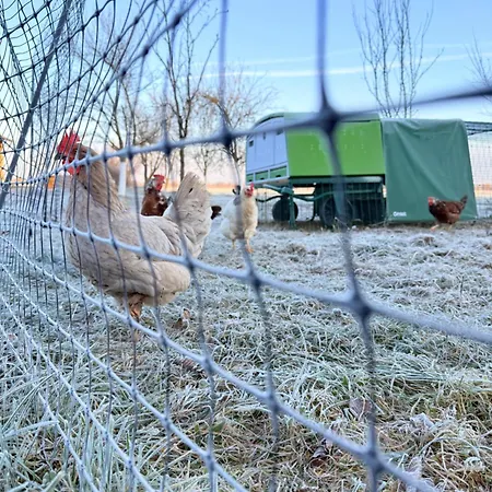 Sonnenblumenhof - & Εξοχικό σπίτι *