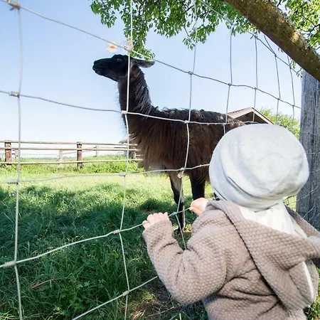 Sonnenblumenhof - & Landsted *