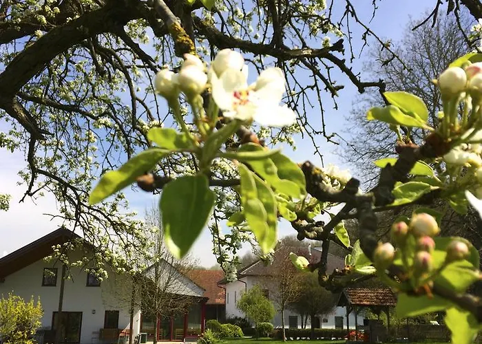 Εξοχικό σπίτι Sonnenblumenhof - &