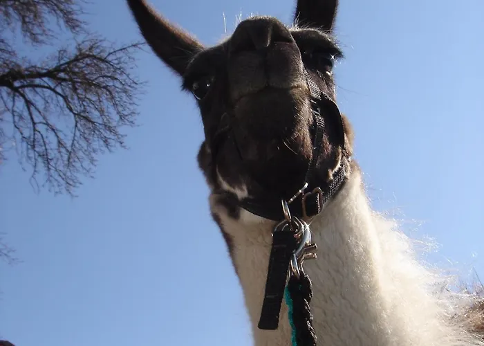 Sonnenblumenhof - & Kır Evi Mühlheim