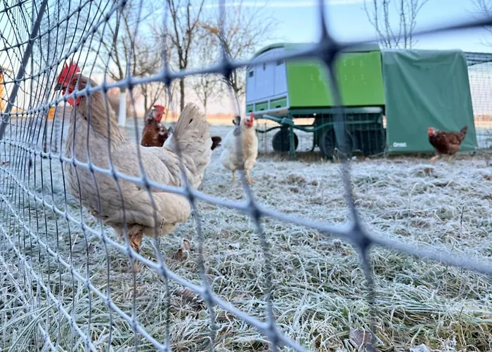 Sonnenblumenhof - & 컨트리하우스 *