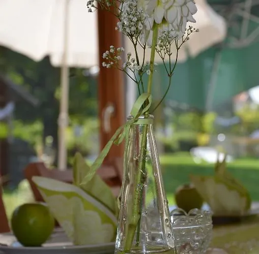 Sonnenblumenhof - & Kır Evi *