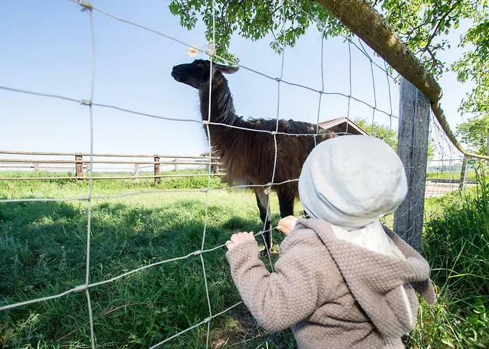 Sonnenblumenhof - & 컨트리하우스 *