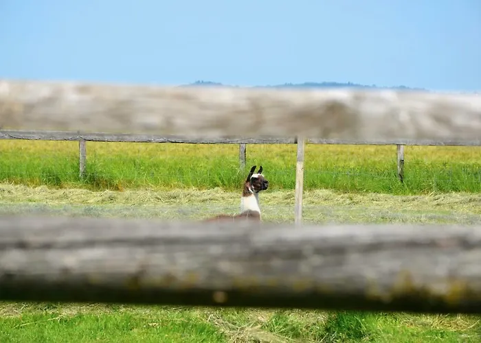 컨트리하우스 Sonnenblumenhof - & Mühlheim