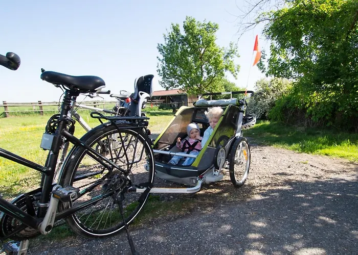 Lantställe Sonnenblumenhof - & *