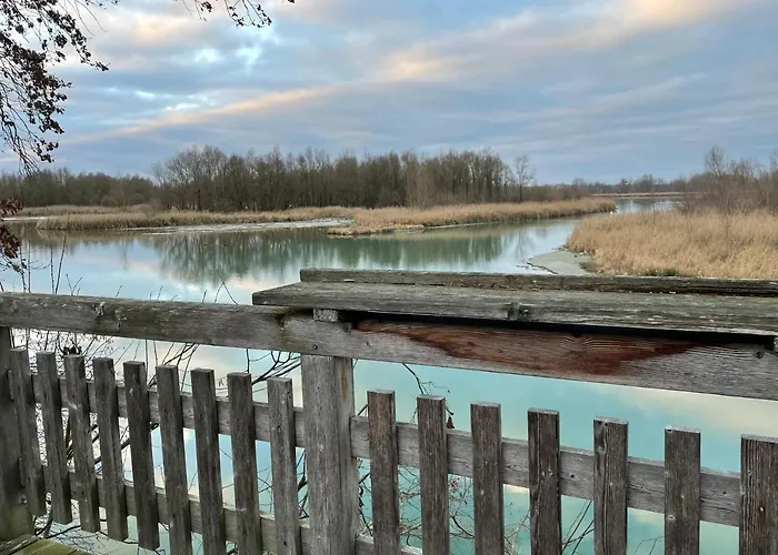 Sonnenblumenhof - & Muehlheim